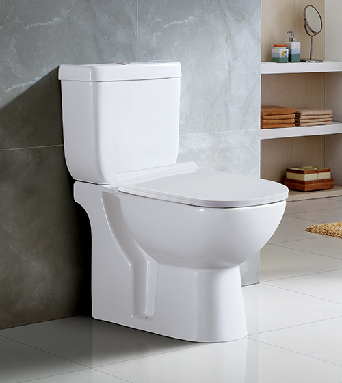 Floor-Mounted 2-Piece Toilet with Slim PP Seat Cover – Aquant India