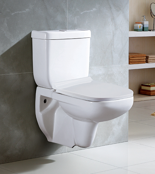 Wall - Mounted 2-Piece Toilet with Slim PP Seat Cover – Aquant India