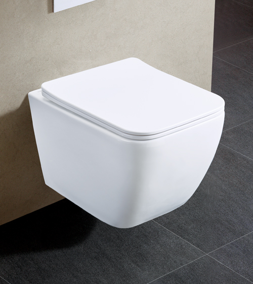 White Rimless WC with Slim UF Seat Cover – Aquant India