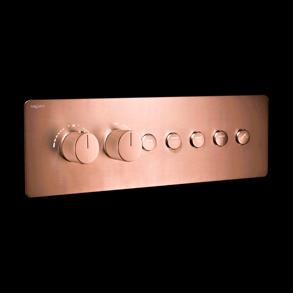 Rose Gold High-Flow Thermostatic Click-Select Multifunction Diverter with Five Outlets & Flow Control(20mm Inlet) – Aquant India