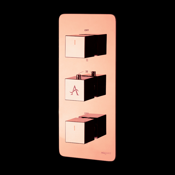 Rose Gold High-Flow Thermostatic Diverter With Six Outlets (20mm Inlet) – Aquant India